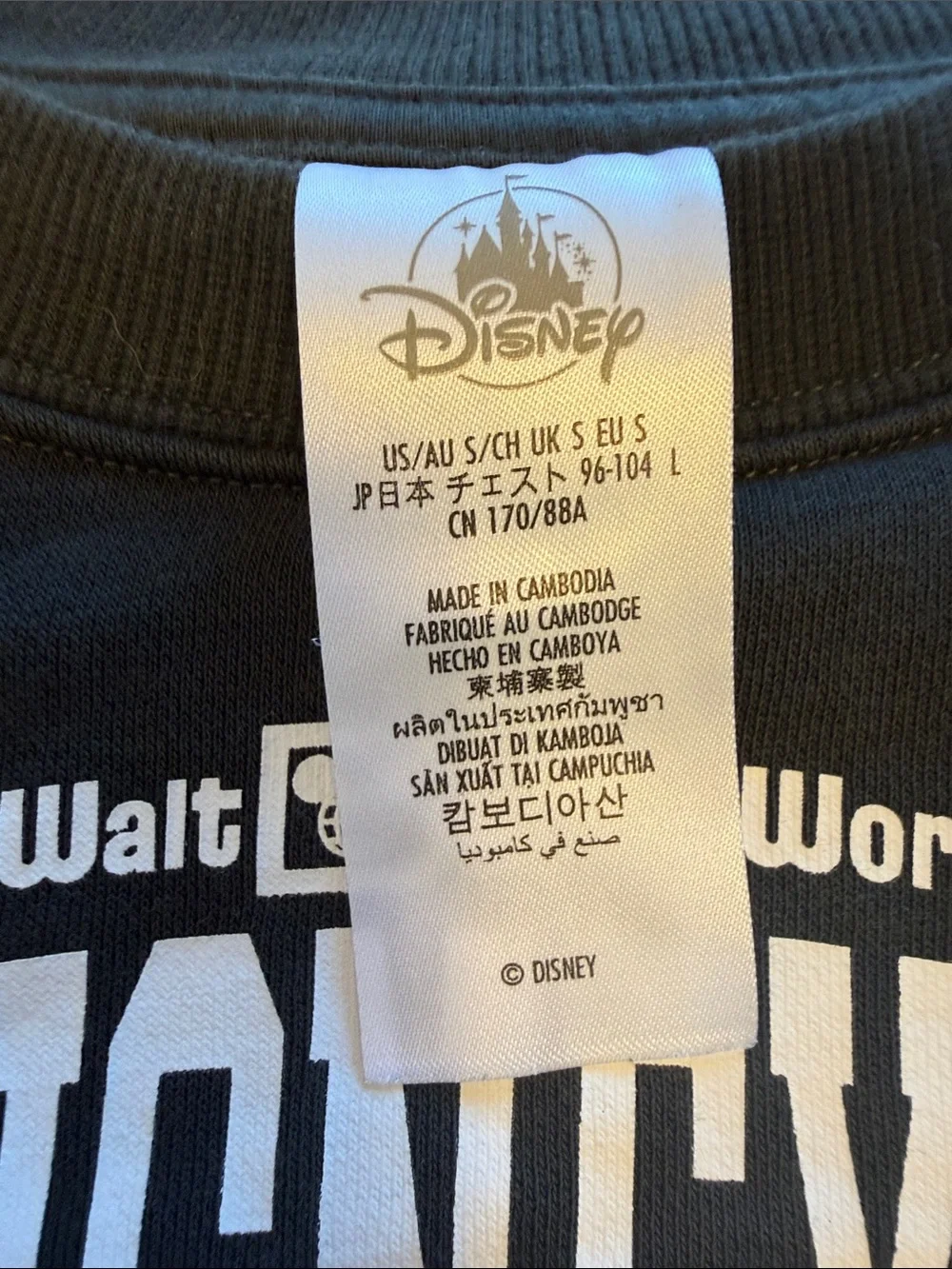 Disney Black Walt Disney World Crewneck Sweatshirt